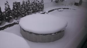 snow on pool cover